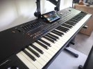 PA 5x (2).jpg